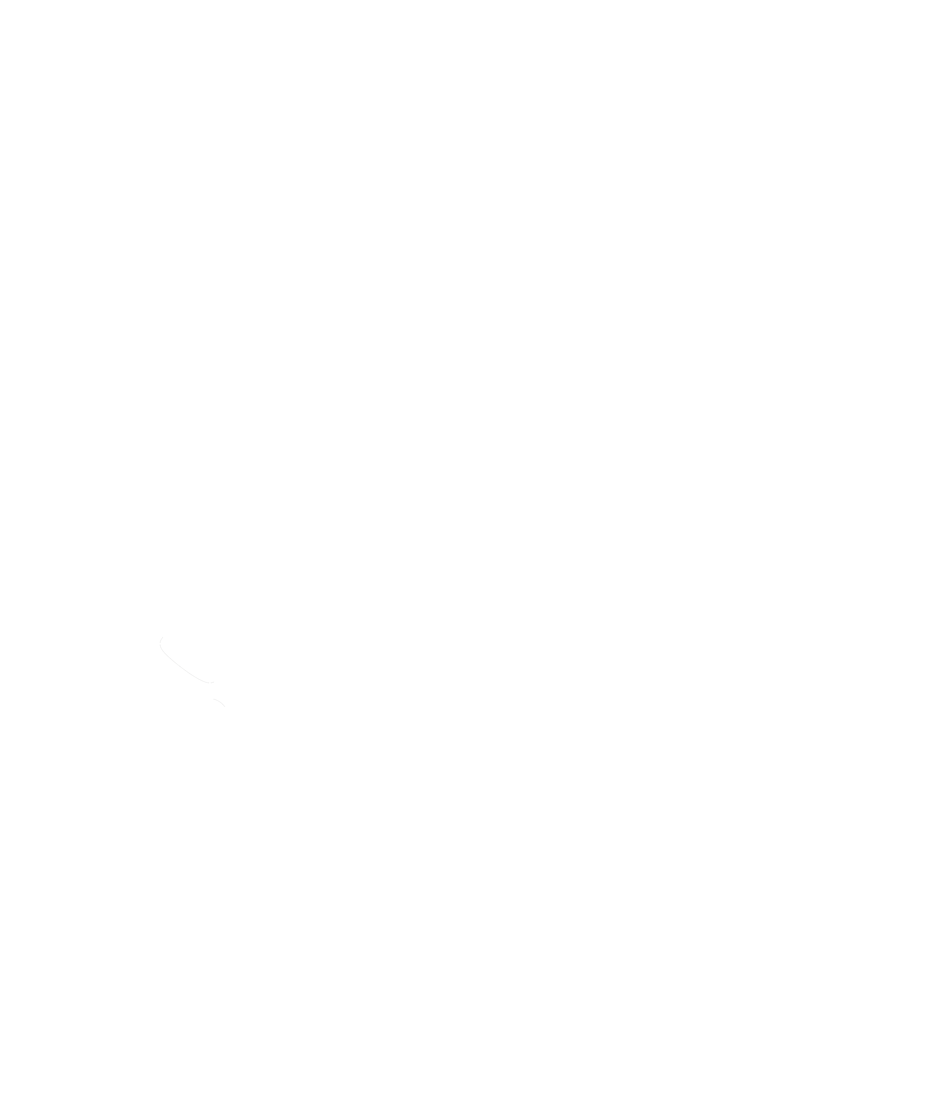 versicherungs-terrier.de